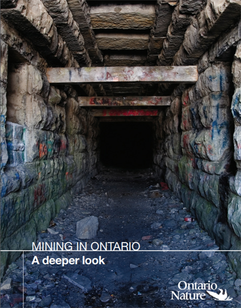 mining report