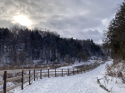 Winter park in Ontario in January