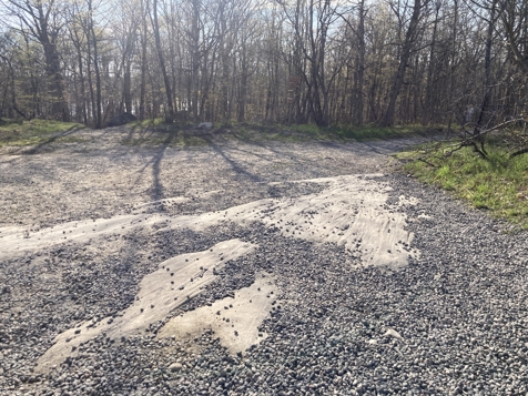 Canadian Shield rocks