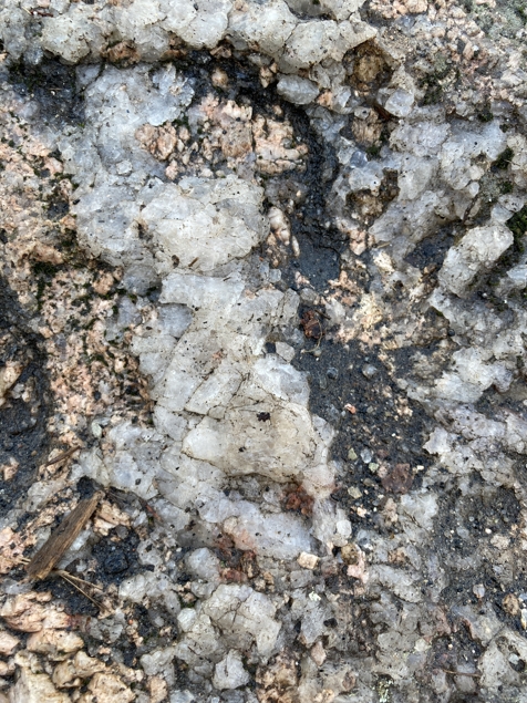 Canadian Shield quartz
