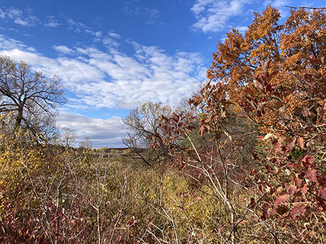 Ontario in autumn, photo taken by me