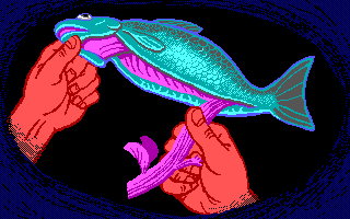 Fish work in progress pixel art