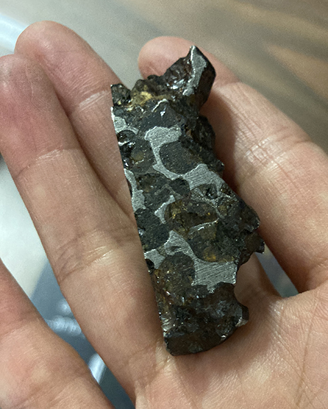 Pallasite meteorite