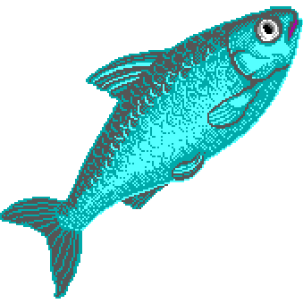 image of the whole fish