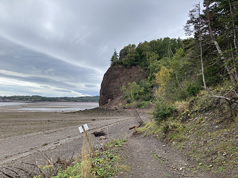 My photo of Wasson Bluff